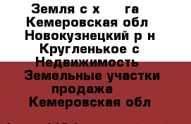 Земля с.х 8.4 га  - Кемеровская обл., Новокузнецкий р-н, Кругленькое с. Недвижимость » Земельные участки продажа   . Кемеровская обл.